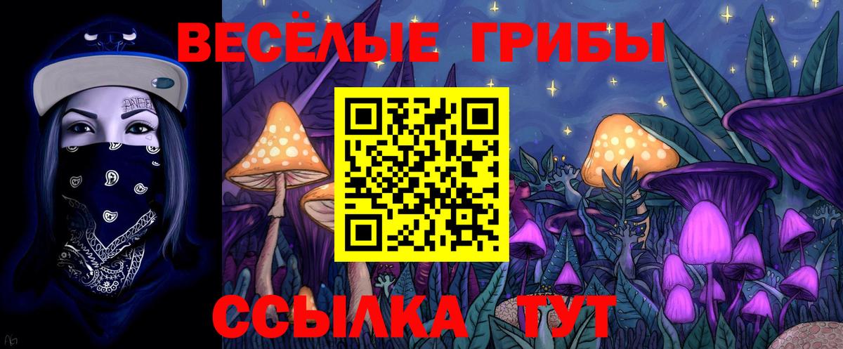 Галлюциногенные грибы прущие грибы  наркотики  Киселёвск  Псилоцибиновые грибы мицелий  Вход с VPN 