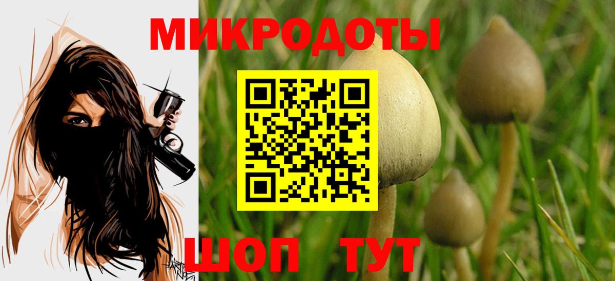 Галлюциногенные грибы Psilocybine cubensis Киселёвск